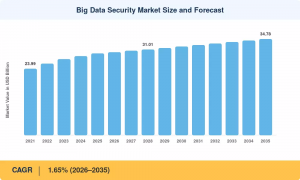 Big Data Security Market Size