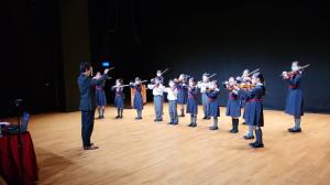 Strings Camerata:  the school violin ensemble