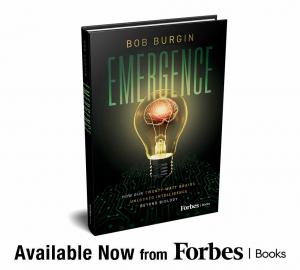 Book cover of "Emergence" by Bob Burgin; Book launch announcement.