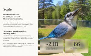 One million devices and 2.1 billion AI identifications reveal the scale of backyard bird activity.