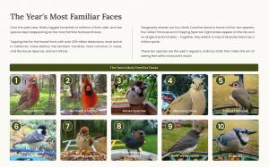 The 10 most frequently detected bird species in Birdfy's U.S. data.