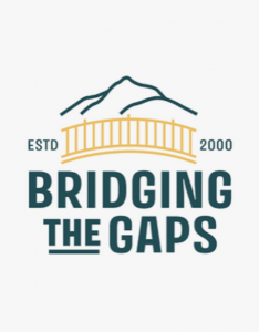 BRIDGING THE GAPS