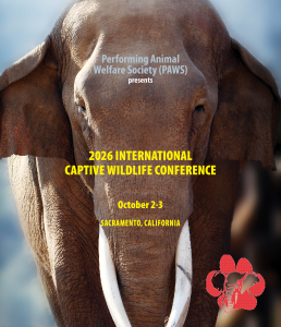 Asian elephant closeup with 2026 PAWS International Captive Wildlife Conference details