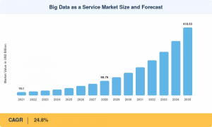 Big Data as a Service Market Size