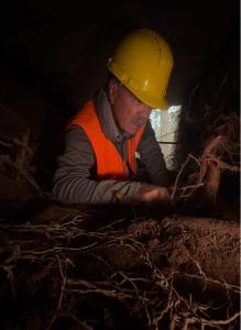 Expert arborist examining tree roots and soil compaction during a pre-construction site assessment for urban forestry preservation.
