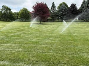 In-ground sprinkler system watering a healthy green lawn at a property in Ann Arbor, MI