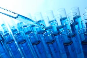 Improving Translatability Earlier in Drug Discovery