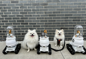 WIM-Z is currently being tested with real dogs in home environments as the company prepares guided launch units.