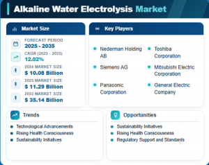 Alkaline Water Electrolysis Market Size