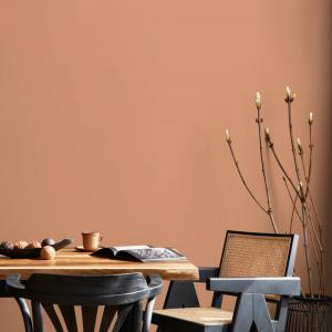 Pumpkin clay solid color peel and stick wallpaper in burnt orange and terracotta by ONDECOR