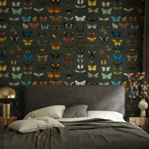 Insect Wallpaper with a Vintage Entomology Motif in Blue, Orange, and Green - E609 — ONDECOR dark academia wallpaper collection