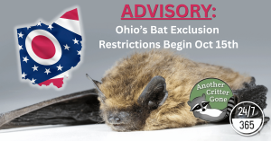 A bat and an outline of the state of Ohio with its flag embedded with stylized logo of the bat removal company, Another Critter Gone, and reference to 24/7 availability.