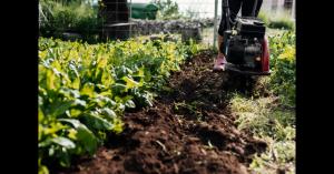 expert mulch installation in Jacksonville, FL