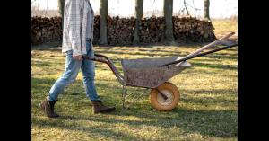 landscape companies in Jacksonville, Florida.