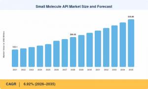 Small Molecule API Market (2026 - 2035)