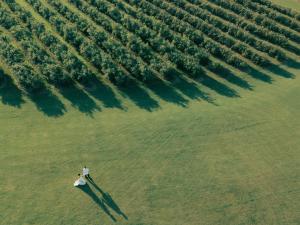 A couple strolls alongside the blueberry fields at Hadden Estate.