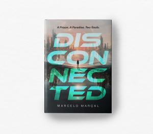 Disconnected by Marcelo Marcal Pic 2