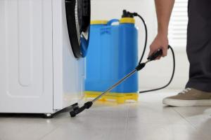 Pest Prevention I Buzz Kill Pest Control