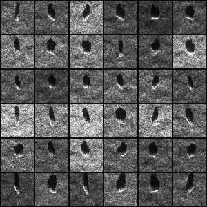 Synthetic SAR Data