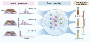 Concentration-Encoded SERS Distributions for Deep-Learning-Assisted Quantitation
