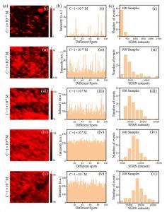 SERS Intensity Distributions Across Different R6G Concentrations