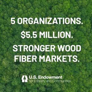 Background image of a forest with text overlay. Text reads: 5 organizations. $5.5 million. Stronger Wood Fiber Markets. U.S. Endowment logo shown at the bottom.