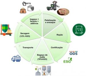 Diagrama do processo da Biovalor, mostrando secagem, transporte, certificação, peletização e reaproveitamento do bagaço de malte na produção de alimento animal.