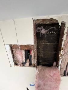 Opened interior wall showing framing, insulation and pipes at a SoCali job