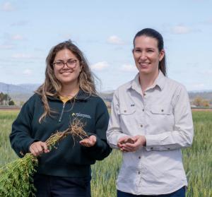 Two rfemale UQ researchers standing in chickpea crop. One holds plant with roots the other soil in hand.
