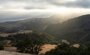 Sunlight breaks through coastal fog over the oak-covered hills of Wild Cherry Canyon, with the Pacific Ocean beyond.