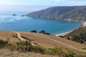 View of Port San Luis from Wild Cherry Canyon, with sailboats in the bay, a pier, coastal bluffs and a grassy hillside.
