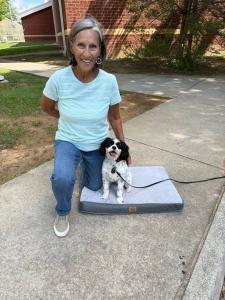 Dog Training Blacksburg, VA