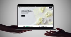 New software development services Lemon.io