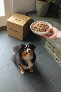 DASH Dog Food