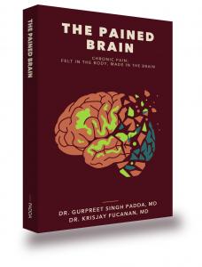 The 3D rendering of the Pained Brain Book