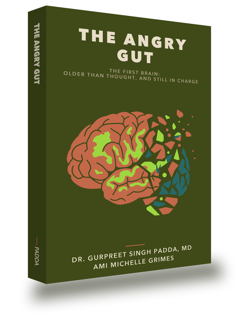 3D rendering of The Angry Gut Book, The First Brain