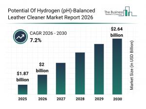 Potential Of Hydrogen (pH)-Balanced Leather Cleaner Market Share