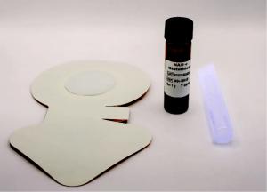 Push Patch®. a needle-free peptide delivery system.