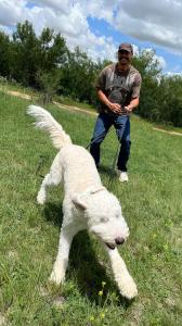 San Antonio, TX Dog Training
