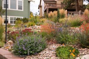 Waterwise garden bed with purple catmint, red pineleaf penstemon, dark red sedum blooms and tall ornamental grasses growing among river rock mulch.