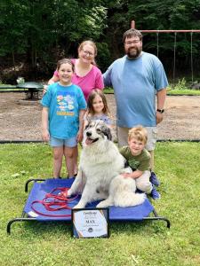 Dog Trainer Dayton