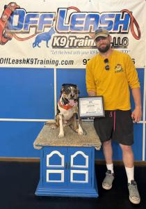 Leash Training Dayton