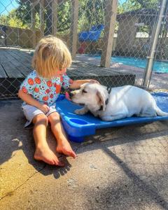 Oklahoma City, OK Best Dog Training