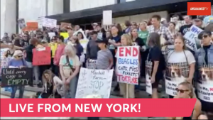 Marchers gathered at the start of the 207-mile journey to end animal testing.