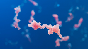 Polypeptide