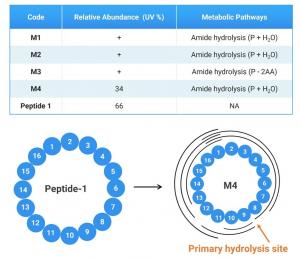 In vitro plasma metabolite study result for Peptide-1 and fragment analysis of M4
