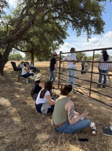 Austin Female Leaders, Executives and Entrepreneurs Participate in Equine Facilitated Leadership Activity at Women's Leadership Workshop with OverCoffee Consulting and Horse + Bow