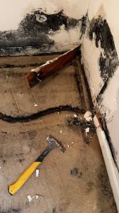 express emergency - mold remediation