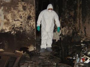 ees restoration - mold remediation