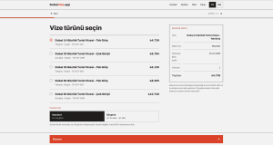 dubaivisa.app - setup